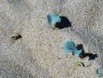 DSCN5162.JPG