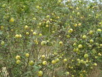DSCN5387.JPG