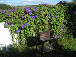 DSCN5426.JPG