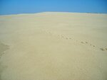 DSCN5451 (2).JPG