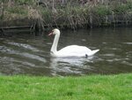 DSCN5862.JPG