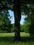 DSCN6237.JPG