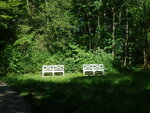DSCN6239.JPG
