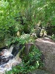 IMG_20210726_085322.jpg