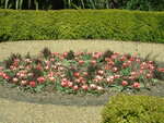 DSCN5994.JPG