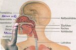 Nasenfick 180 KB.jpg Nasenfick 180 KB.jpg