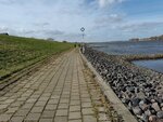 IMG_20210321_134601.jpg