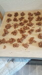 IMG-20210915-WA0001.jpeg