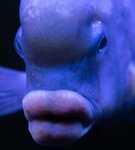 IMG_20210916_231137.jpg IMG_20210916_231137.jpg