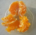 DSCN3647 (2).JPG