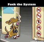 1634756586721.png