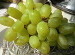 DSCN4024 (2).JPG