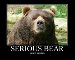 $serious-bear.jpg $serious-bear.jpg