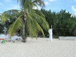 IMG_2250.JPG