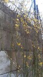 20220102_105430.jpg