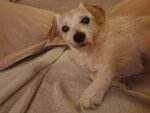 20220103_183113.jpg
