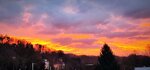 IMG_20220218_070045.jpg