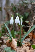 DSC_0329.jpg