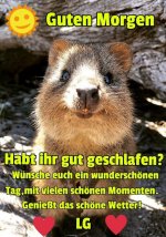 GM Murmel.jpg GM Murmel.jpg