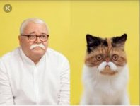 IMG_20220314_132134.jpg IMG_20220314_132134.jpg