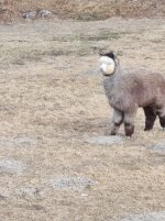 IMG_20220315_103920.jpg IMG_20220315_103920.jpg