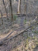 2022-03-20_Waldbadk019.jpg
