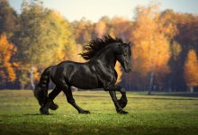 istockphoto-873711512-170667a.jpg istockphoto-873711512-170667a.jpg