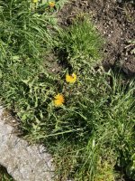 929C9444-FE71-4258-BC34-60CBE1004F20.jpeg