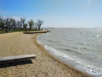 IMG_20220414_131234.jpg
