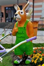 20190413 (3).jpg