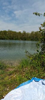 IMG_20220430_122937.jpg