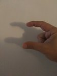 IMG_20161010_182117.jpg