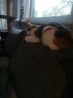 IMG_20220524_185524.jpg IMG_20220524_185524.jpg