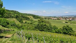 20220527_142044.jpg 20220527_142044.jpg