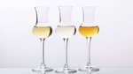 1398427486_grappa-3-glaeser_high.jpg