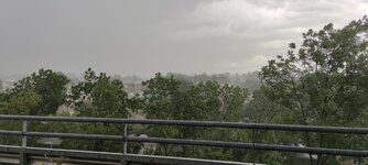 IMG_20220613_173505.jpg
