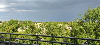 IMG_20220613_180152.jpg