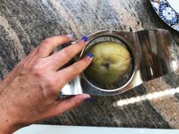 ECAFE1C6-37B3-4652-8301-DB402B3C7124.jpeg