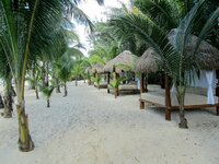 IMG_2252.JPG