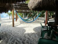 IMG_2253.JPG