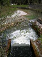 Ausflug Ötscher April 07 010.jpg