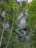 IMG_20220619_085820.jpg