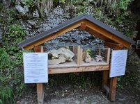 IMG_20220619_100948.jpg