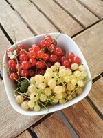 IMG_20220619_190741.jpg