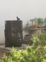 IMG_20220619_192913.jpg