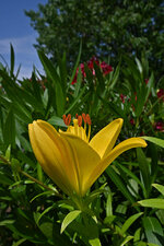 DSC_3188.jpg