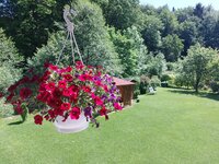 Garten.jpg