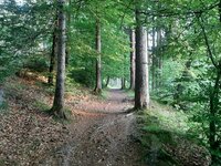 20220620_201006.jpg 20220620_201006.jpg