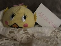 2B2022A0-F15D-43C5-869E-3423D4B0DD79.jpeg