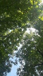20220717_151501.jpg